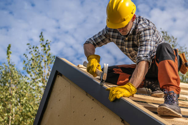 Fast & Reliable Emergency Roof Repairs in Carson City, NV